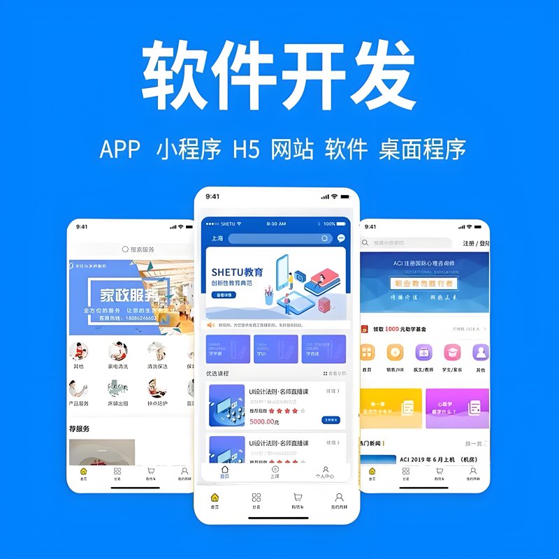 武汉软件开发:探索本地技术优势与挑战